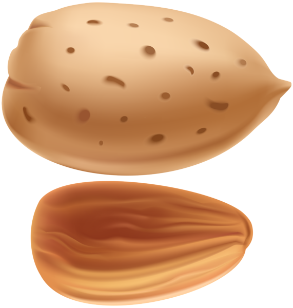 Biji almond