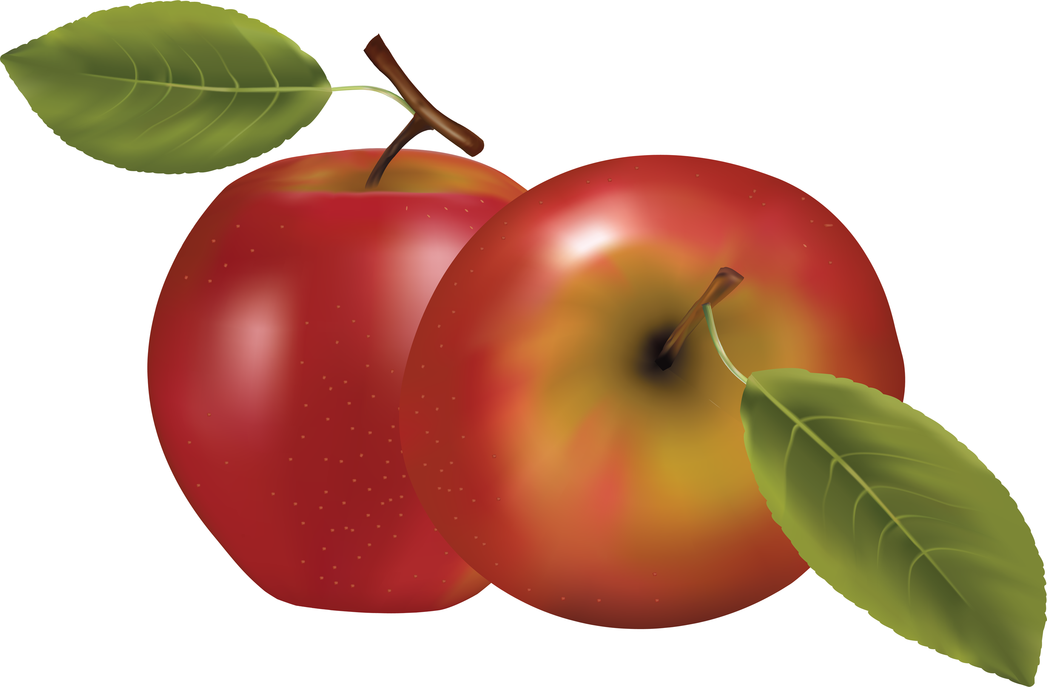 Hai quả táo đỏ