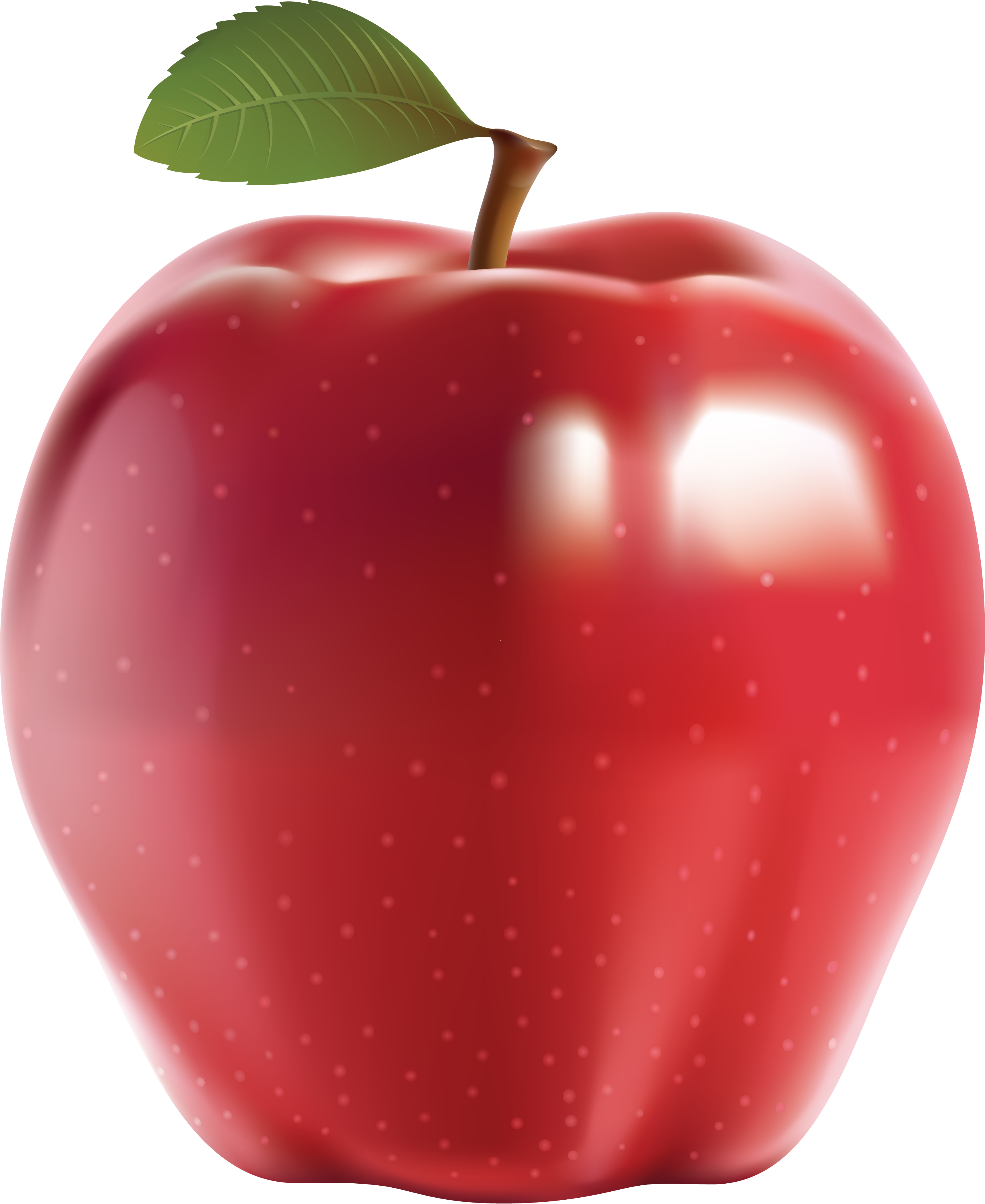 큰 빨간 사과