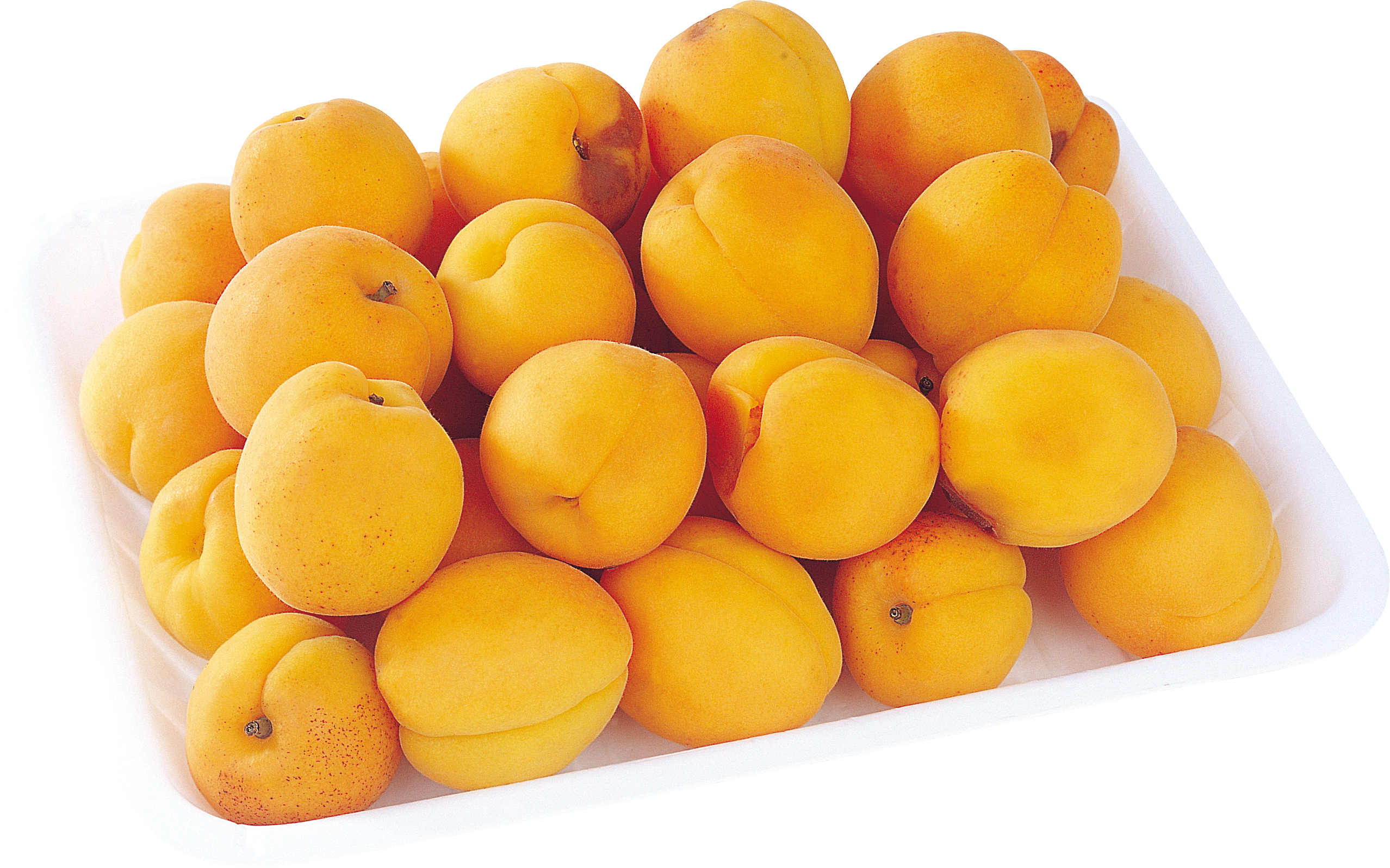 许多黄色杏子