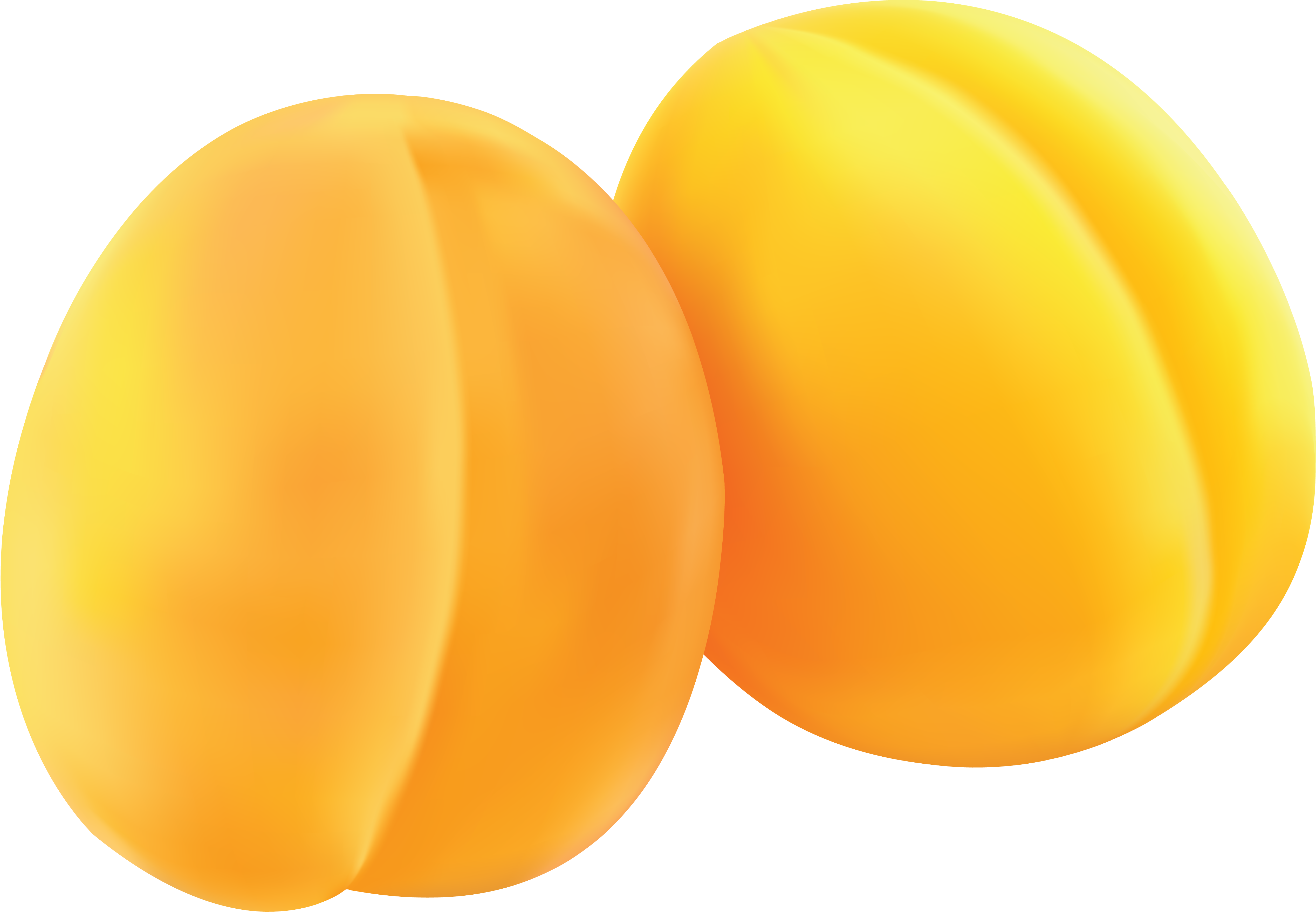 Zwei gelbe Aprikosen
