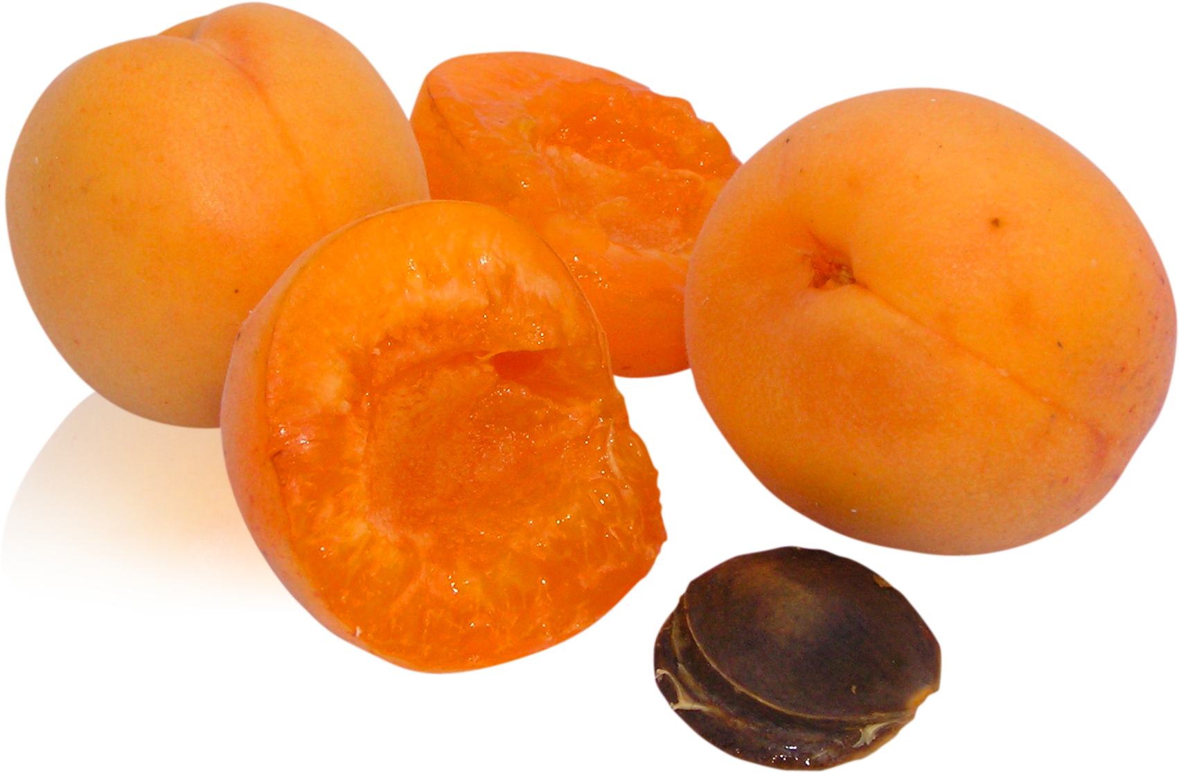 Orange Aprikose