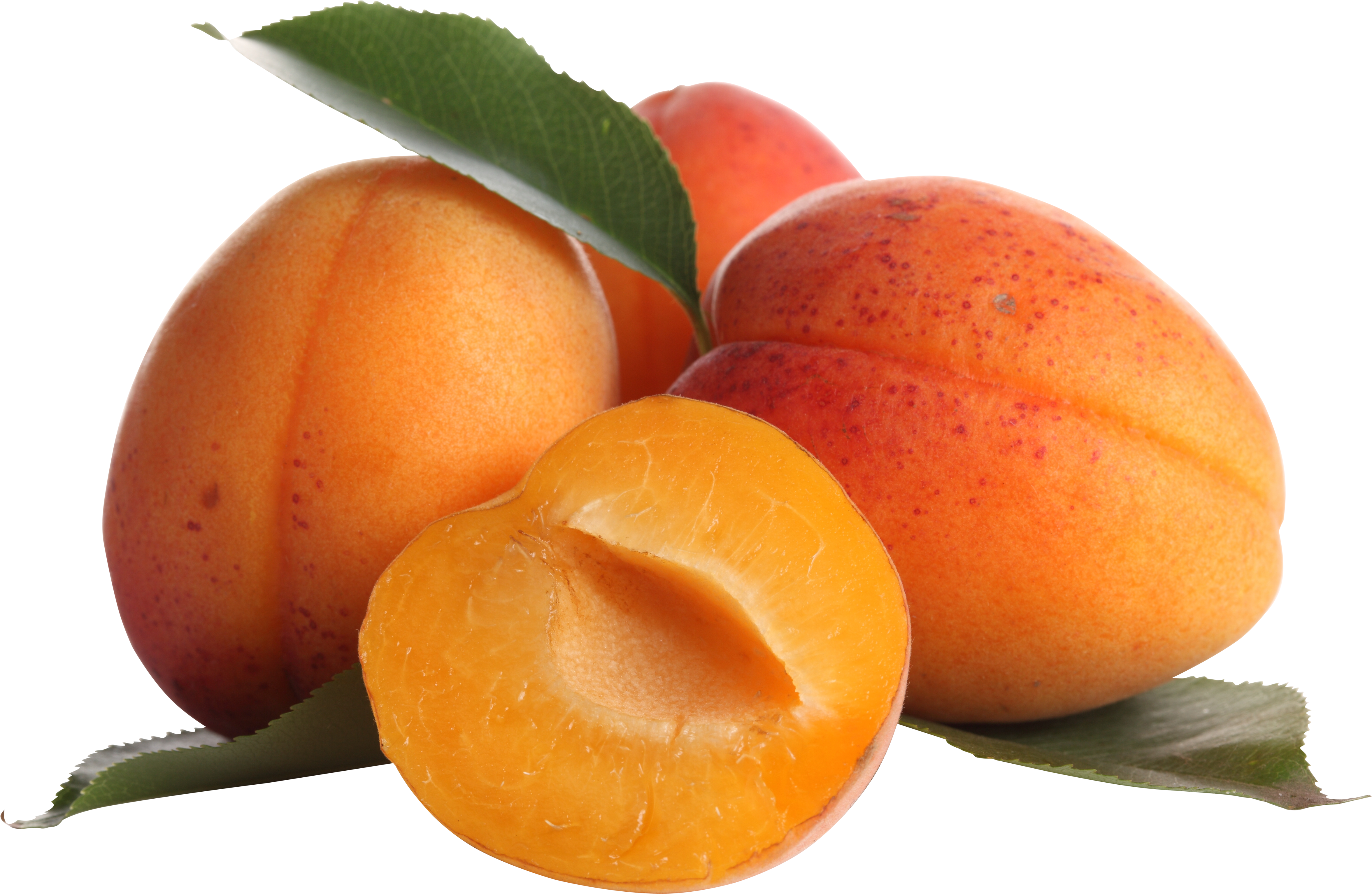 Gambar aprikot