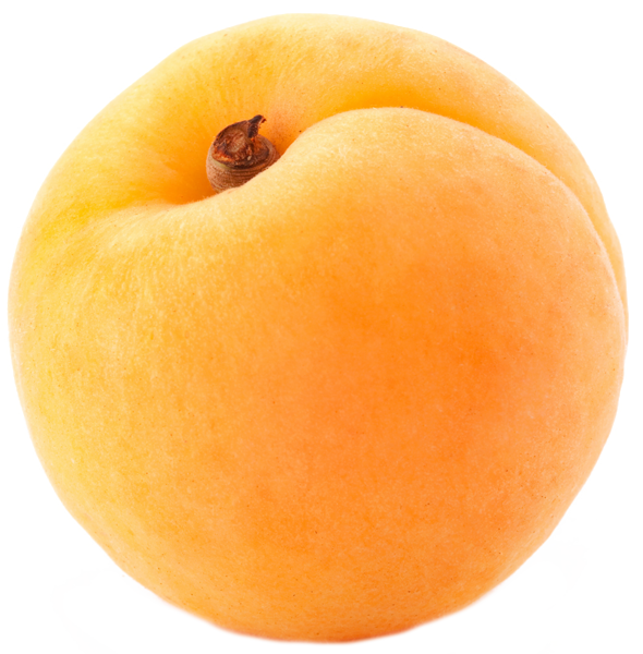 Rhubarbe Abricot