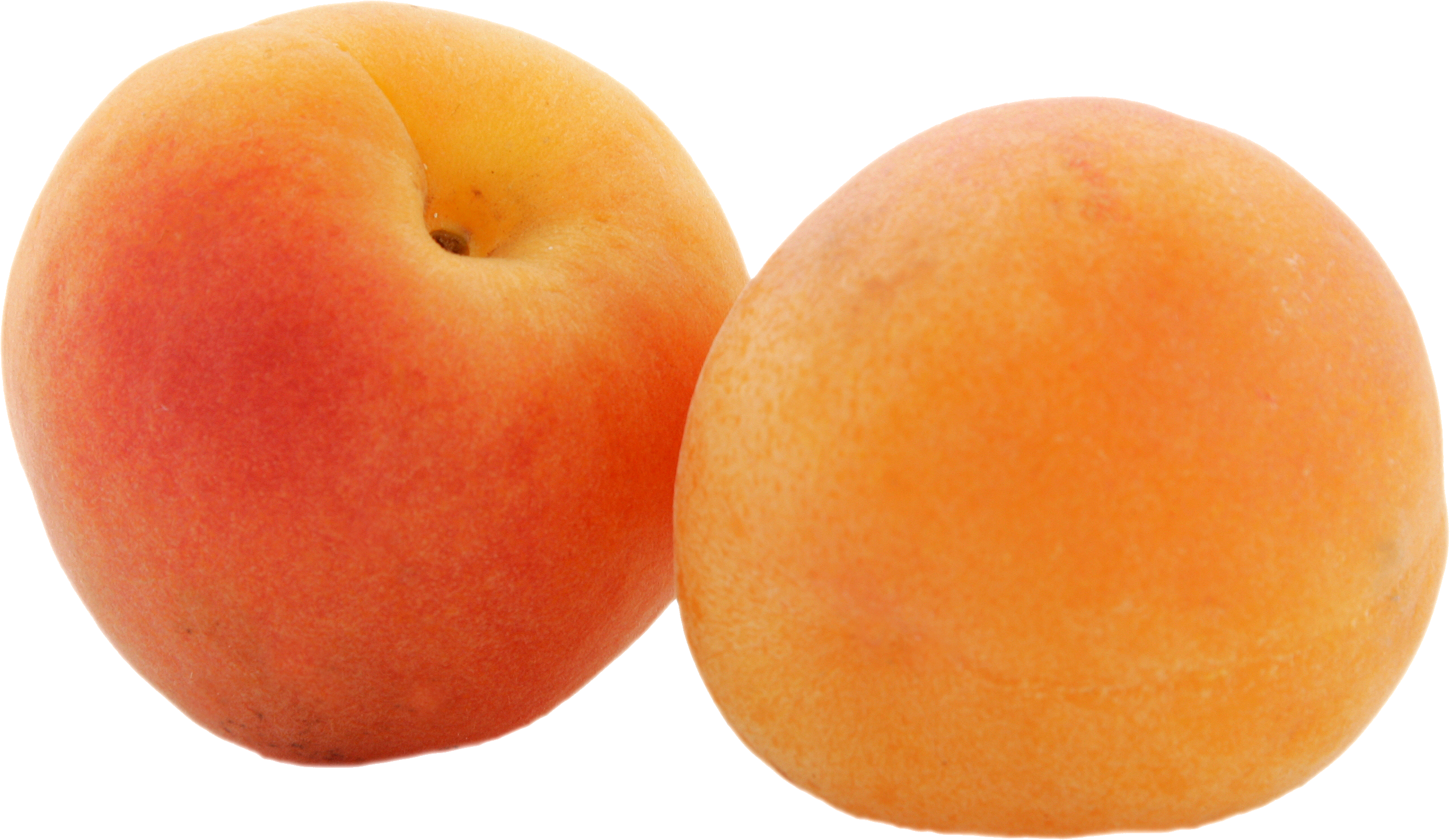 Deux abricots