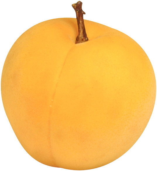 Gros abricot
