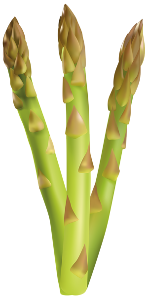 Asparago