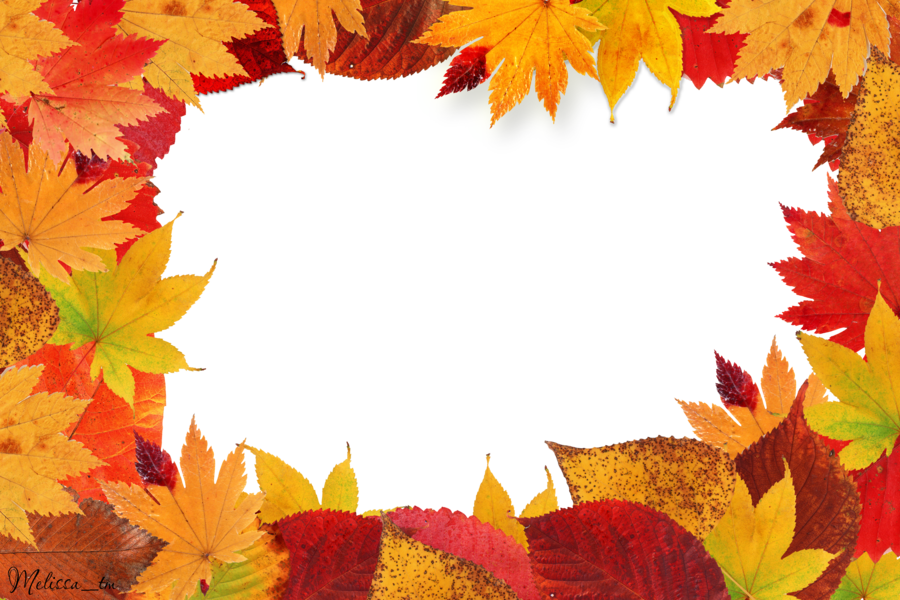 Fond de bordure de feuilles d'automne