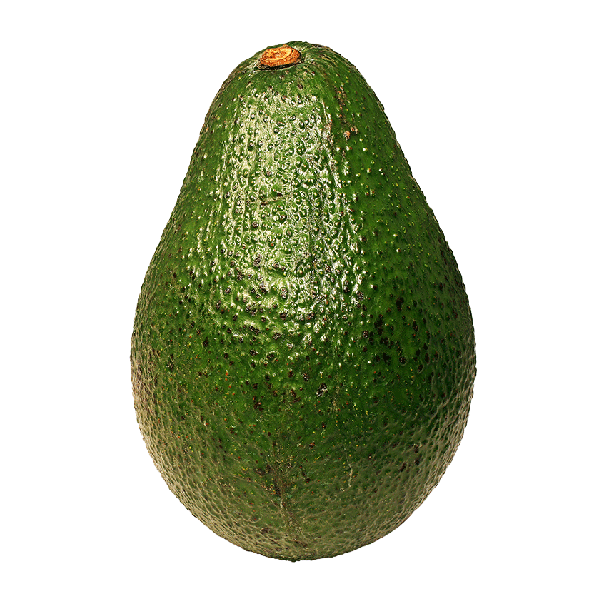 Große Avocado