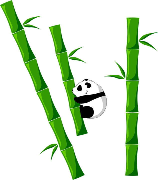 Bambus und Panda