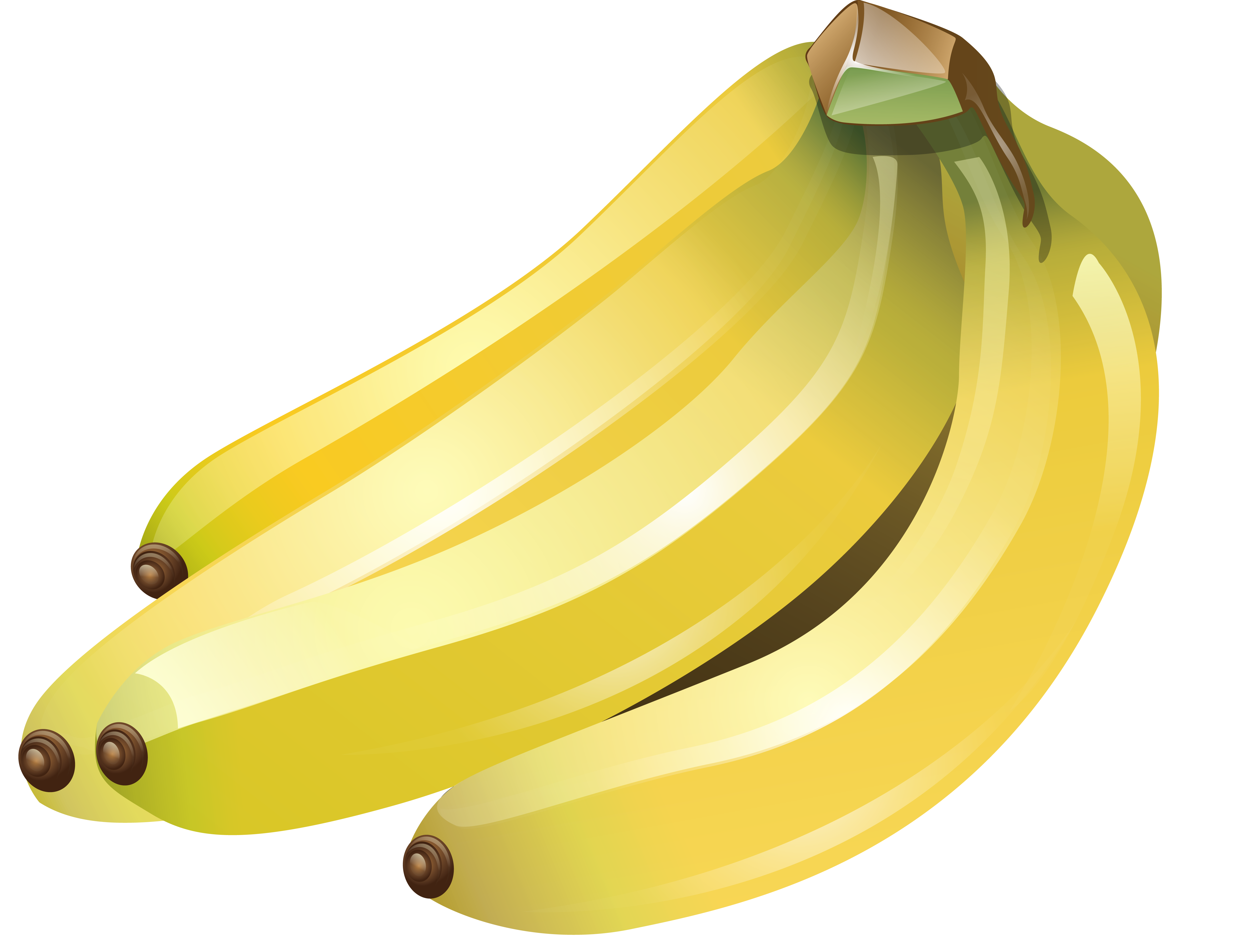 Uma fila de bananas