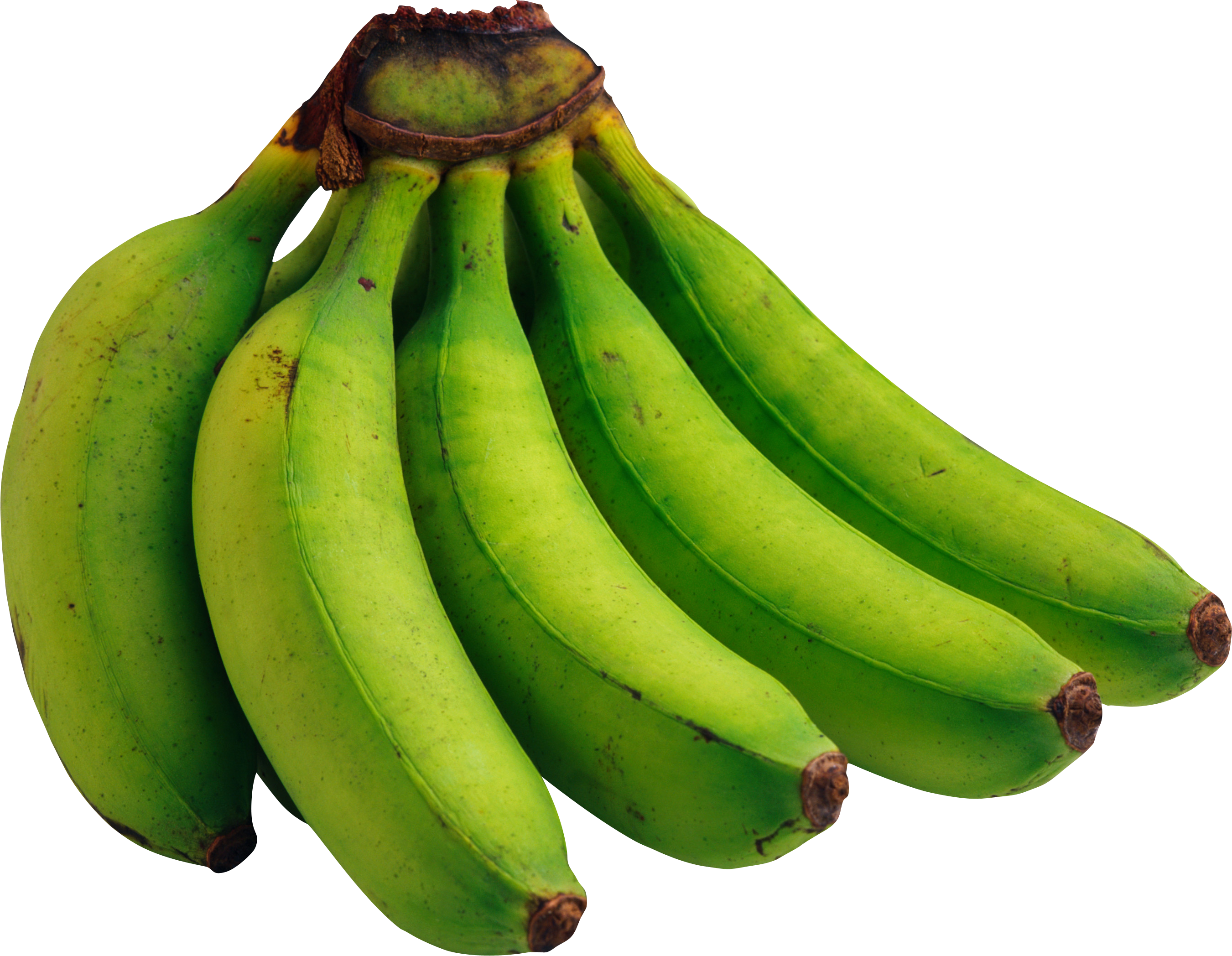 Grüne Banane, freies Bild