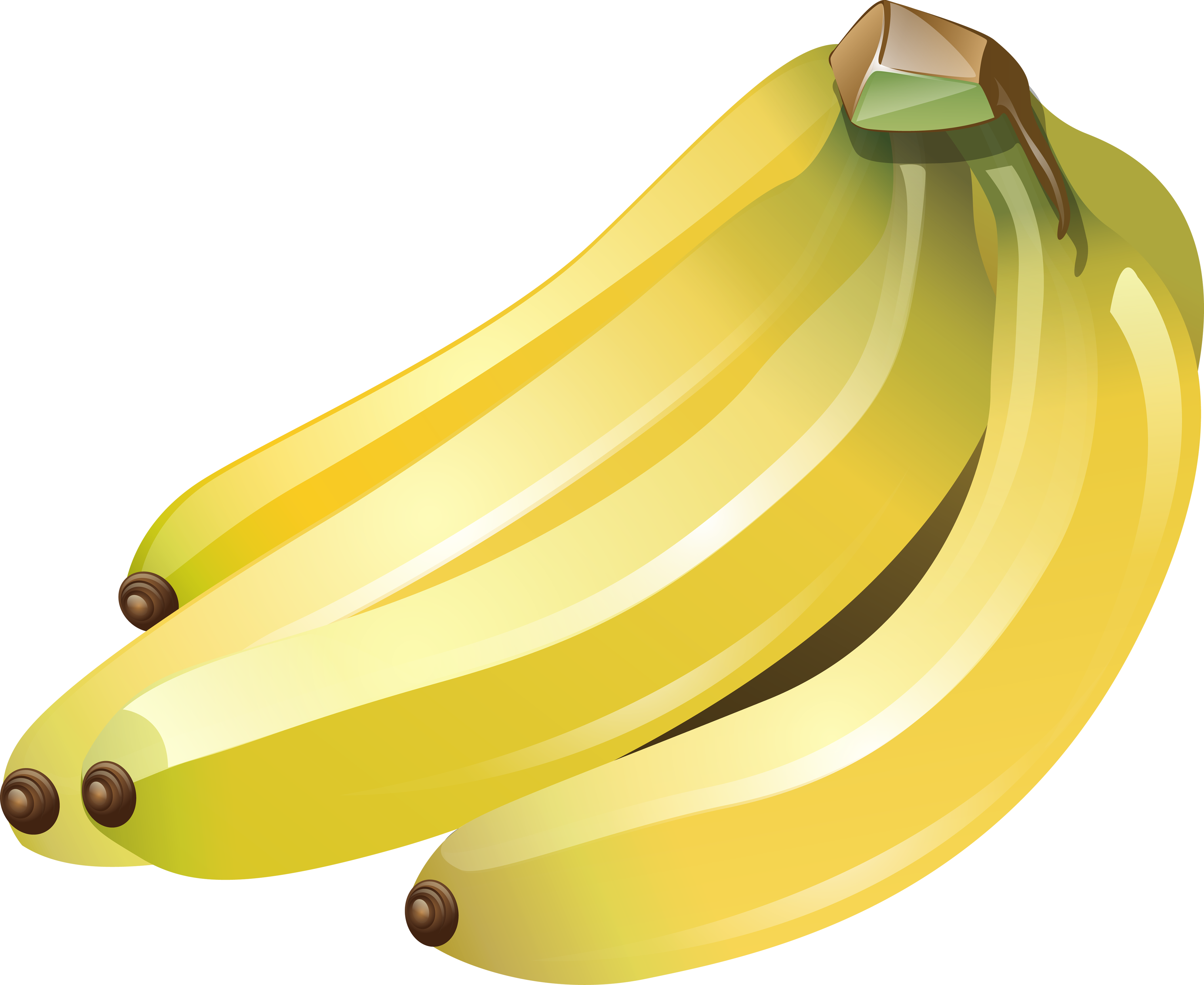Molte banane