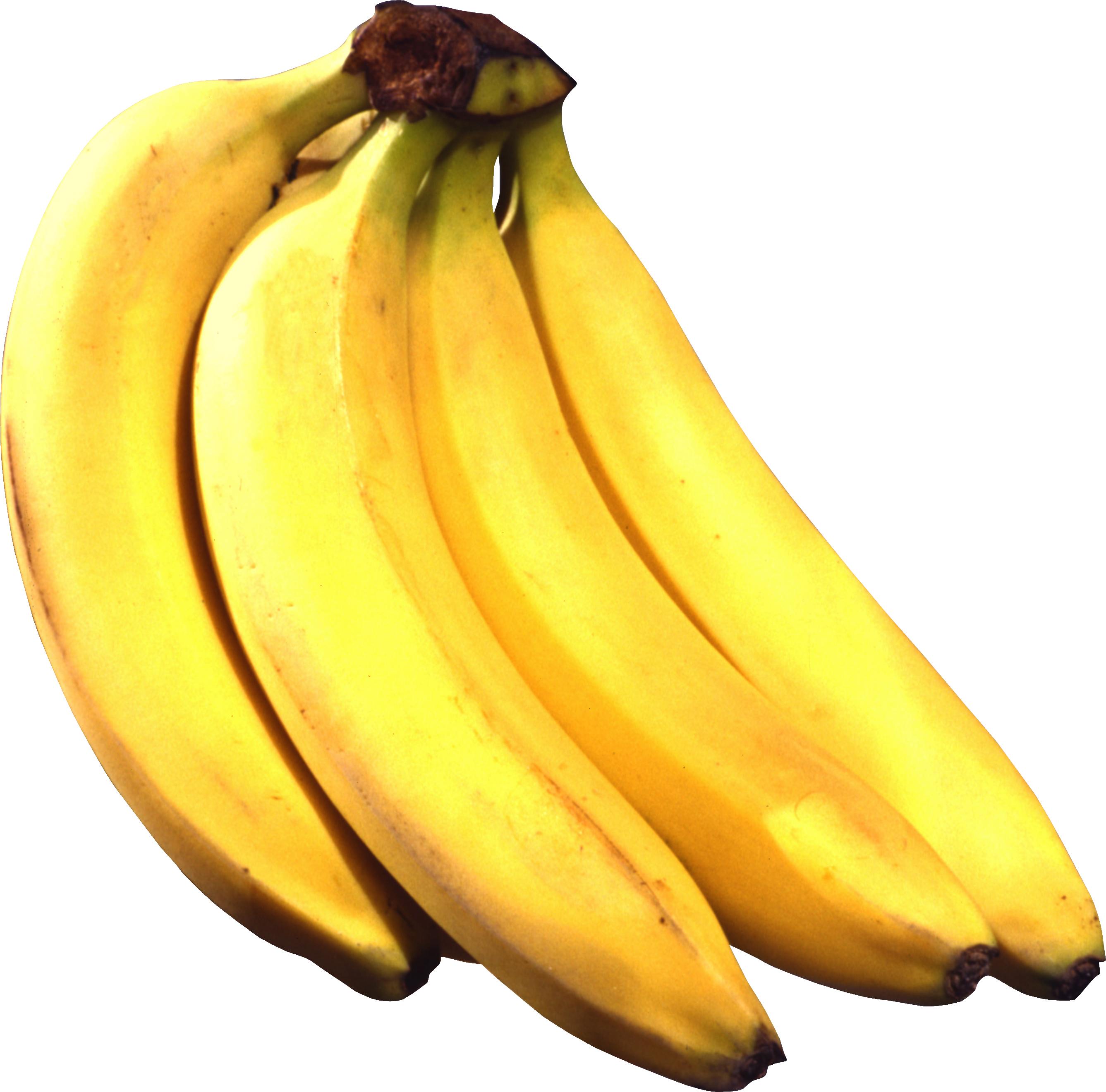 一排香蕉