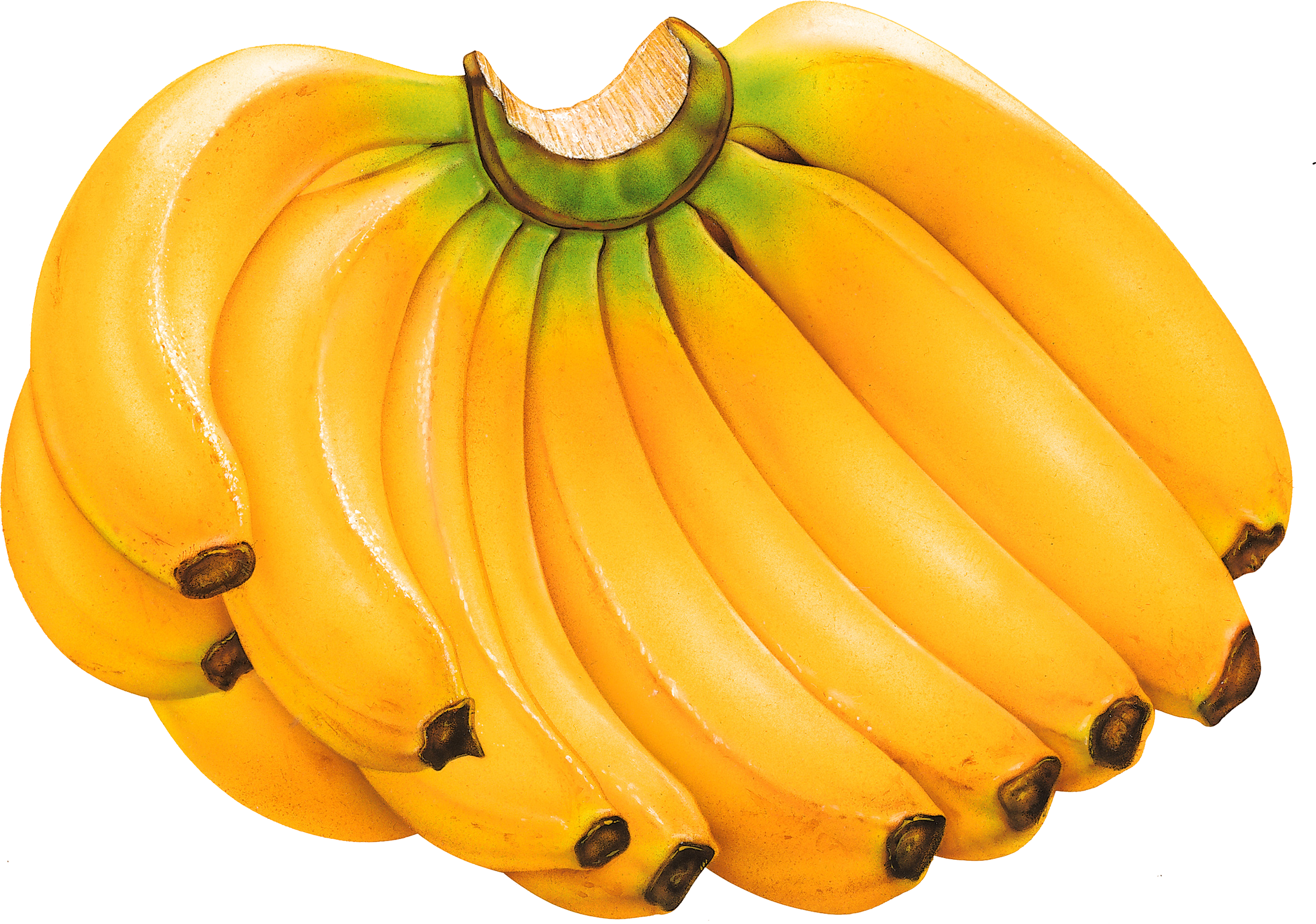 Viele Bananen