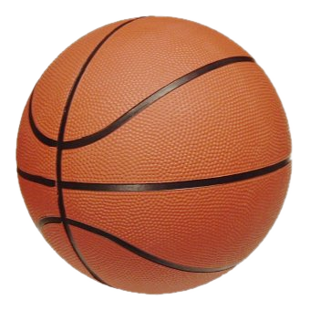Palla da basket