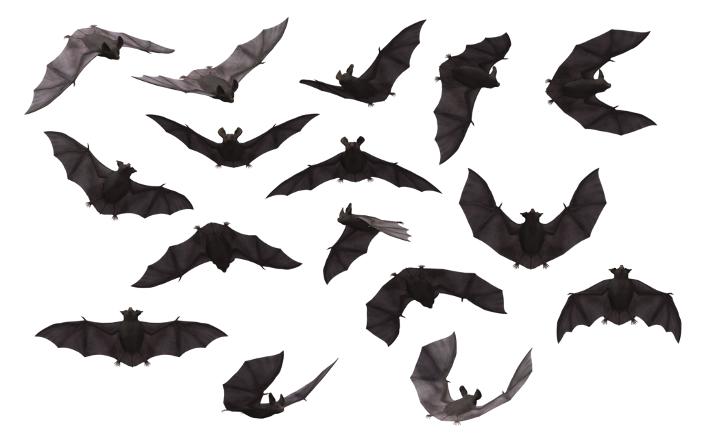 Um bando de morcegos
