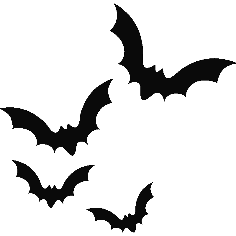 蝙蝠