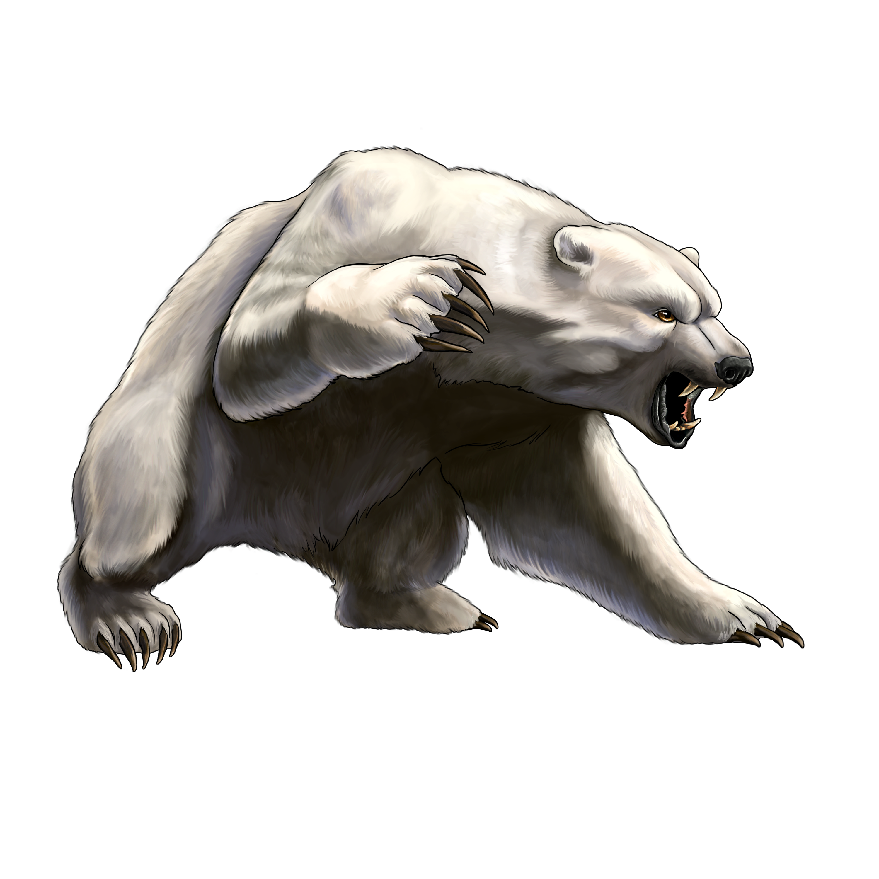 흰색 화난 곰