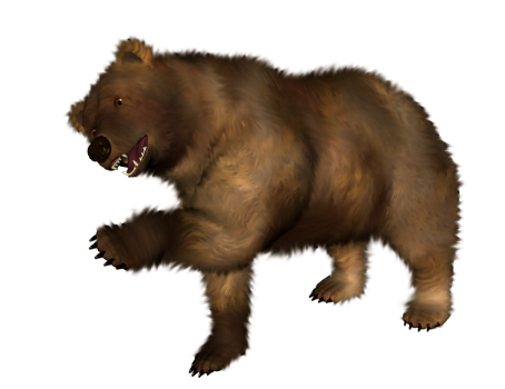 Brązowy niedźwiedź