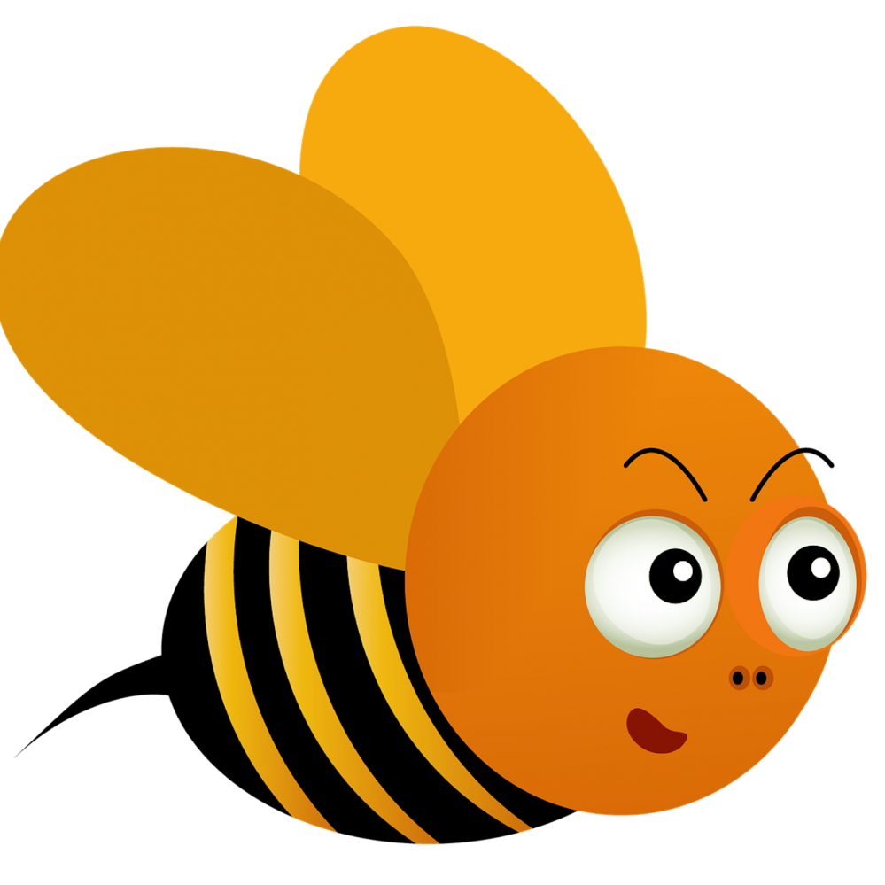 Con ong