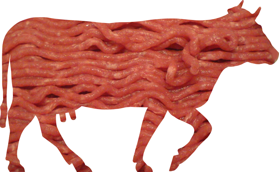 Thịt bò
