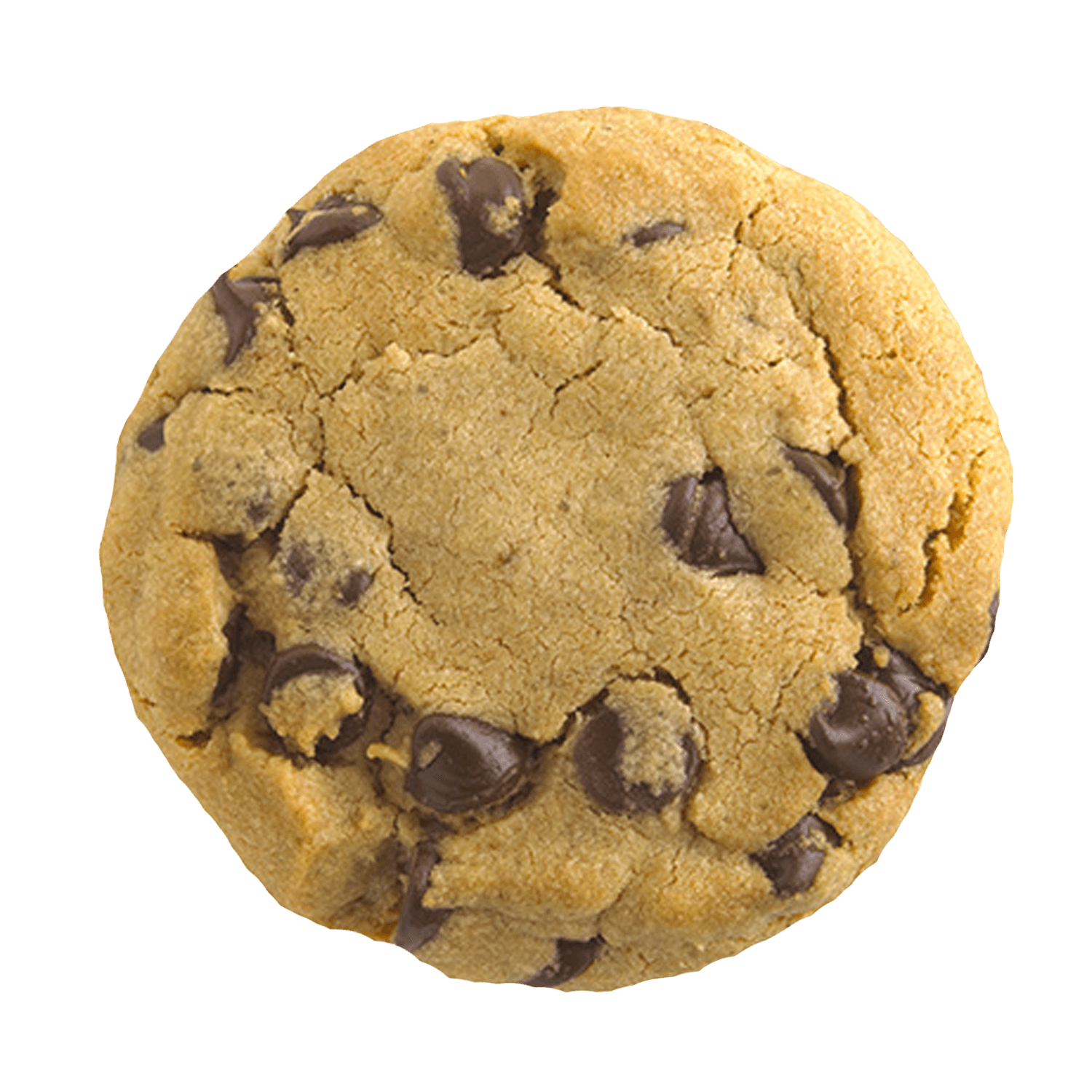 Bánh quy