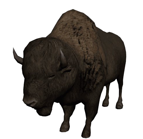 Vaca (bisão)