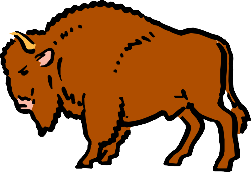 Kuh (Bison)