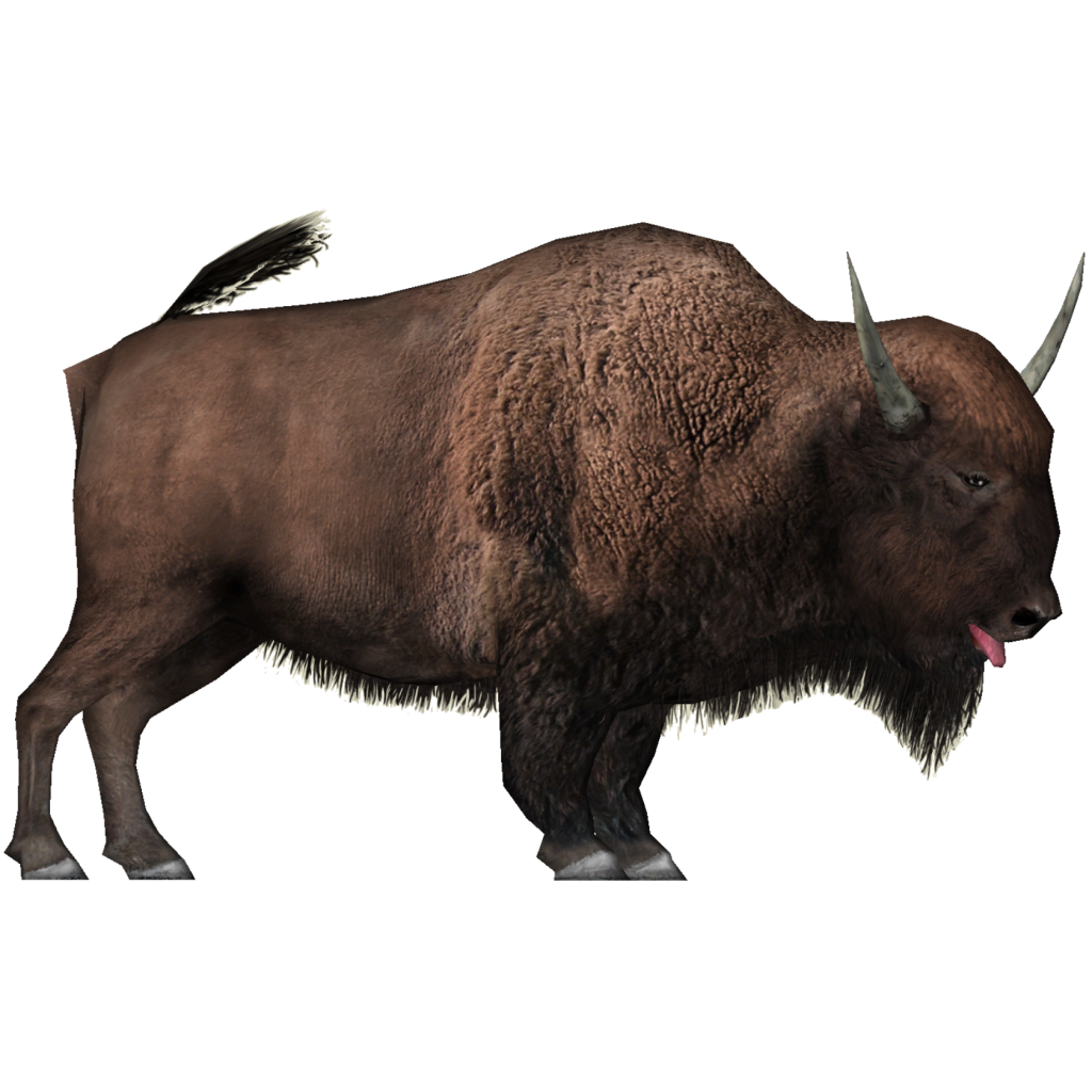 Mucca (bisonte)