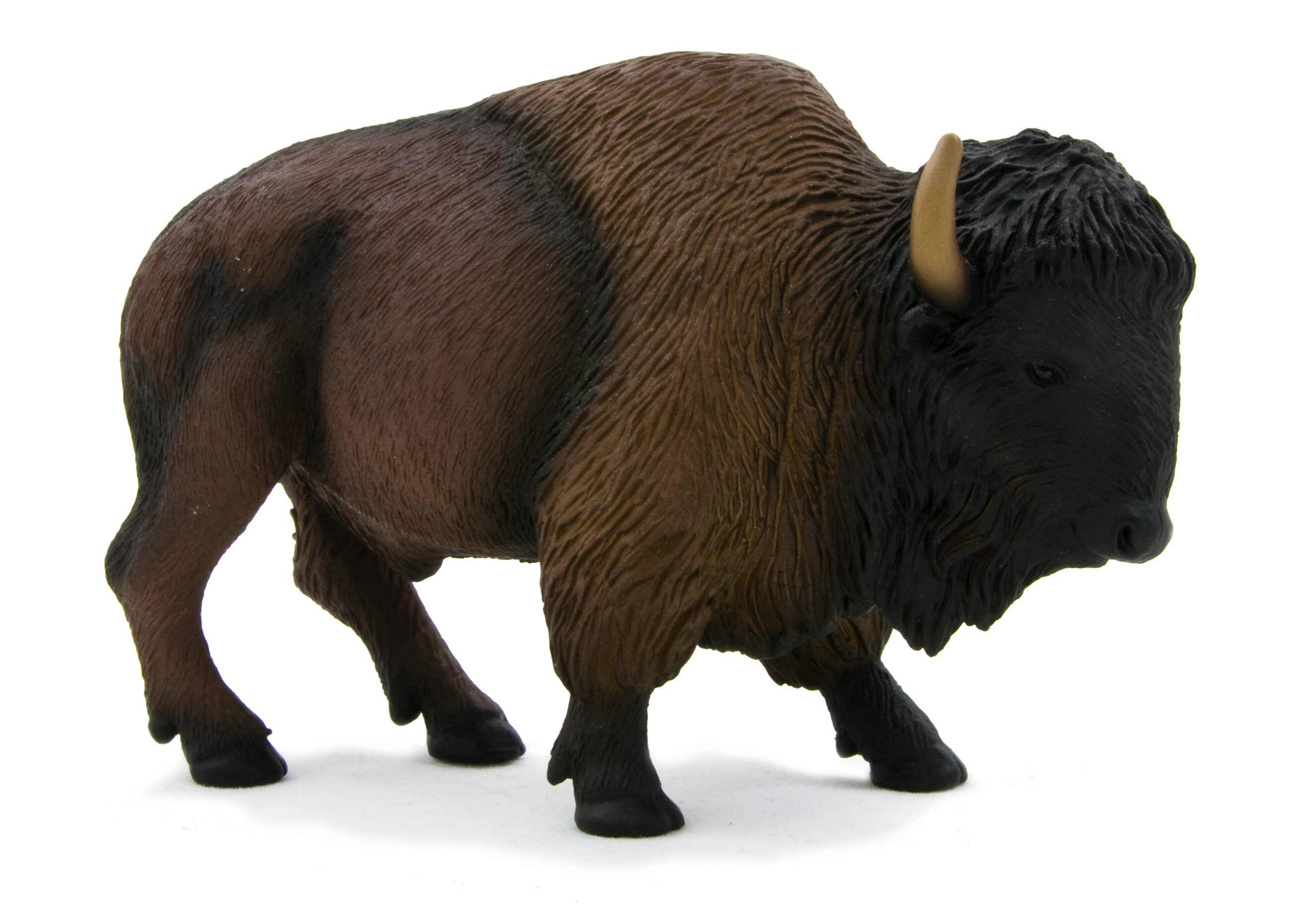 Vache (bison)