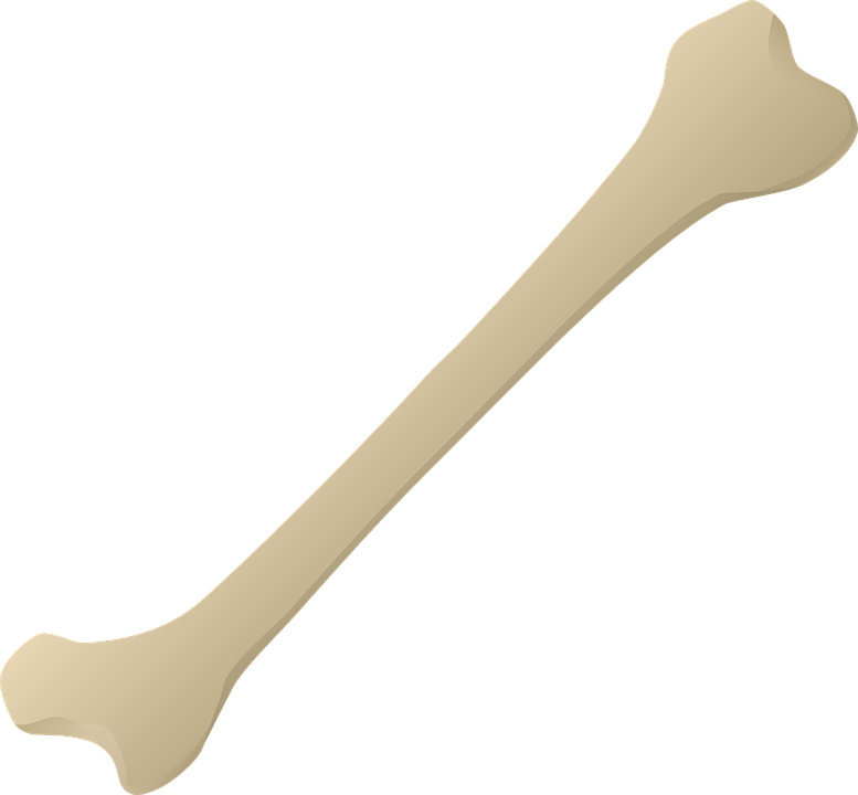 Kość