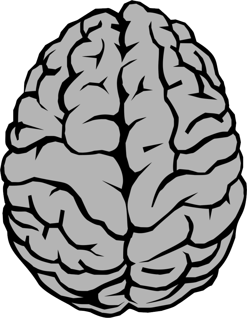 Cervello