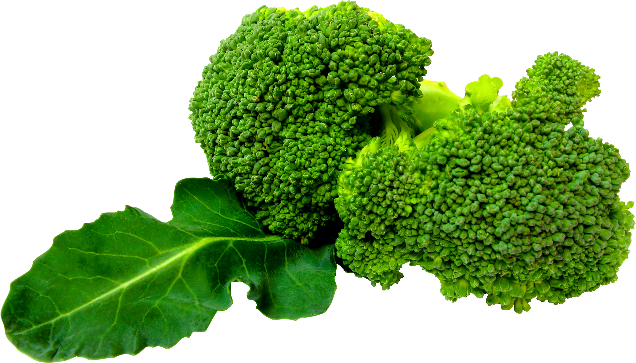 Brócolis verde