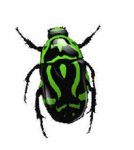 緑の昆虫
