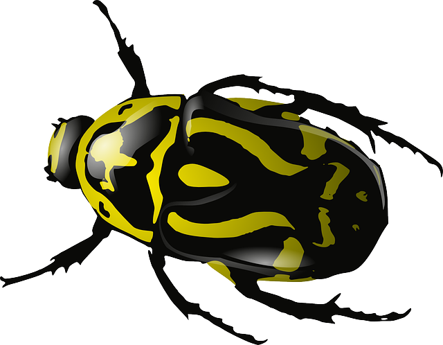 Bug jaune