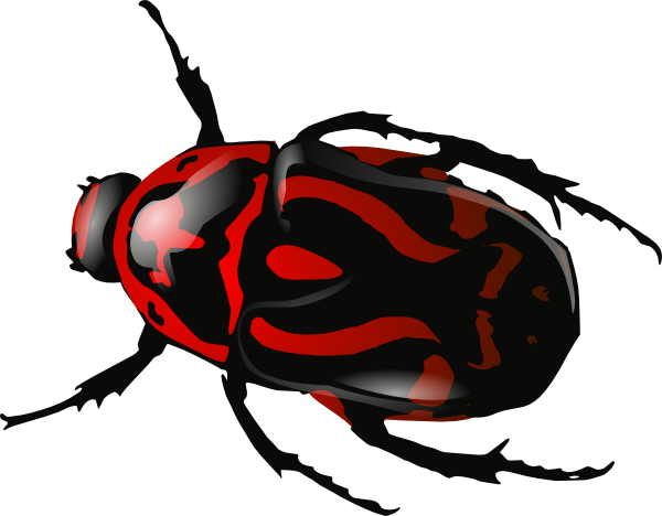 Rotes Insekt