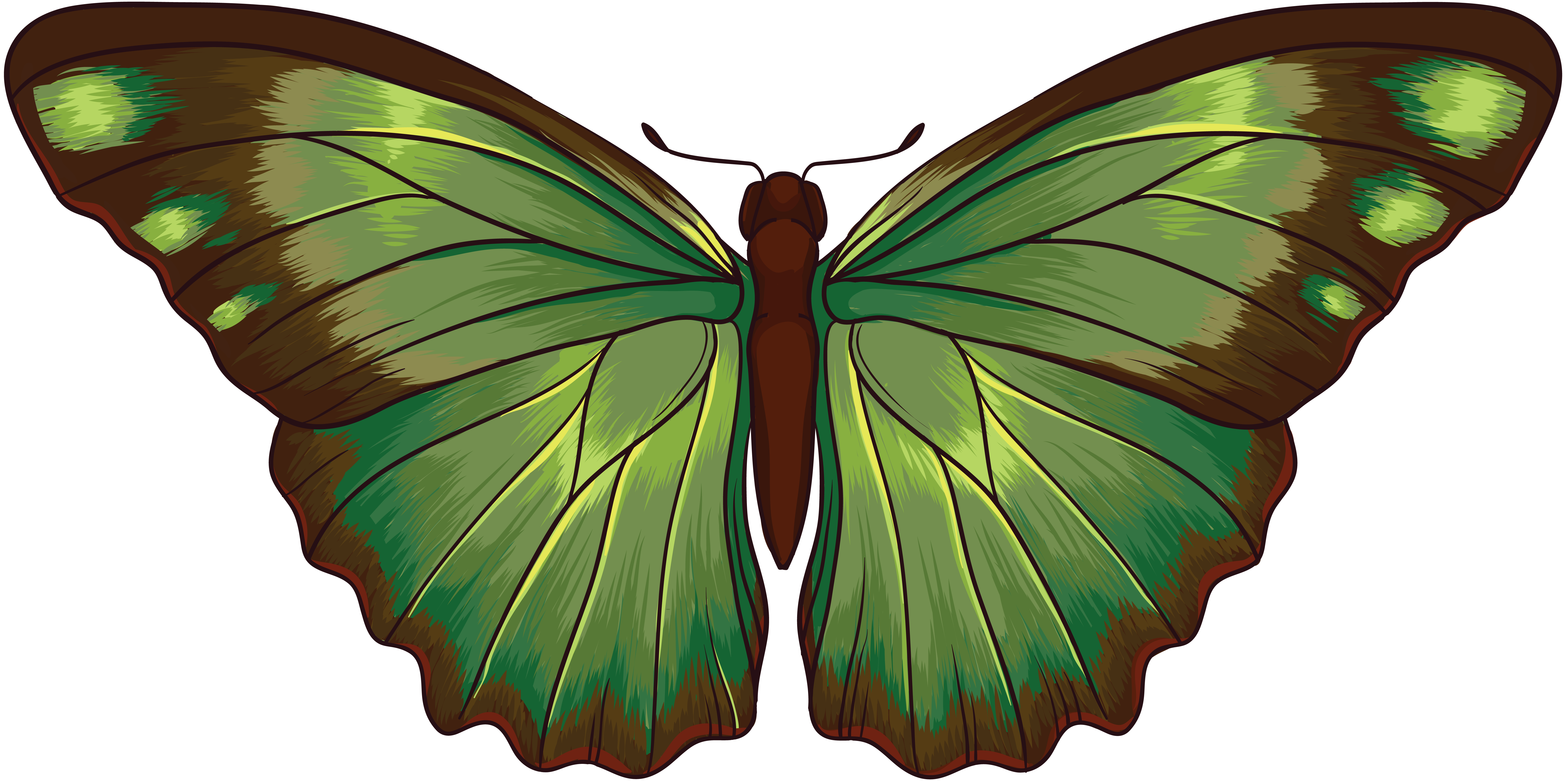 Farfalla verde