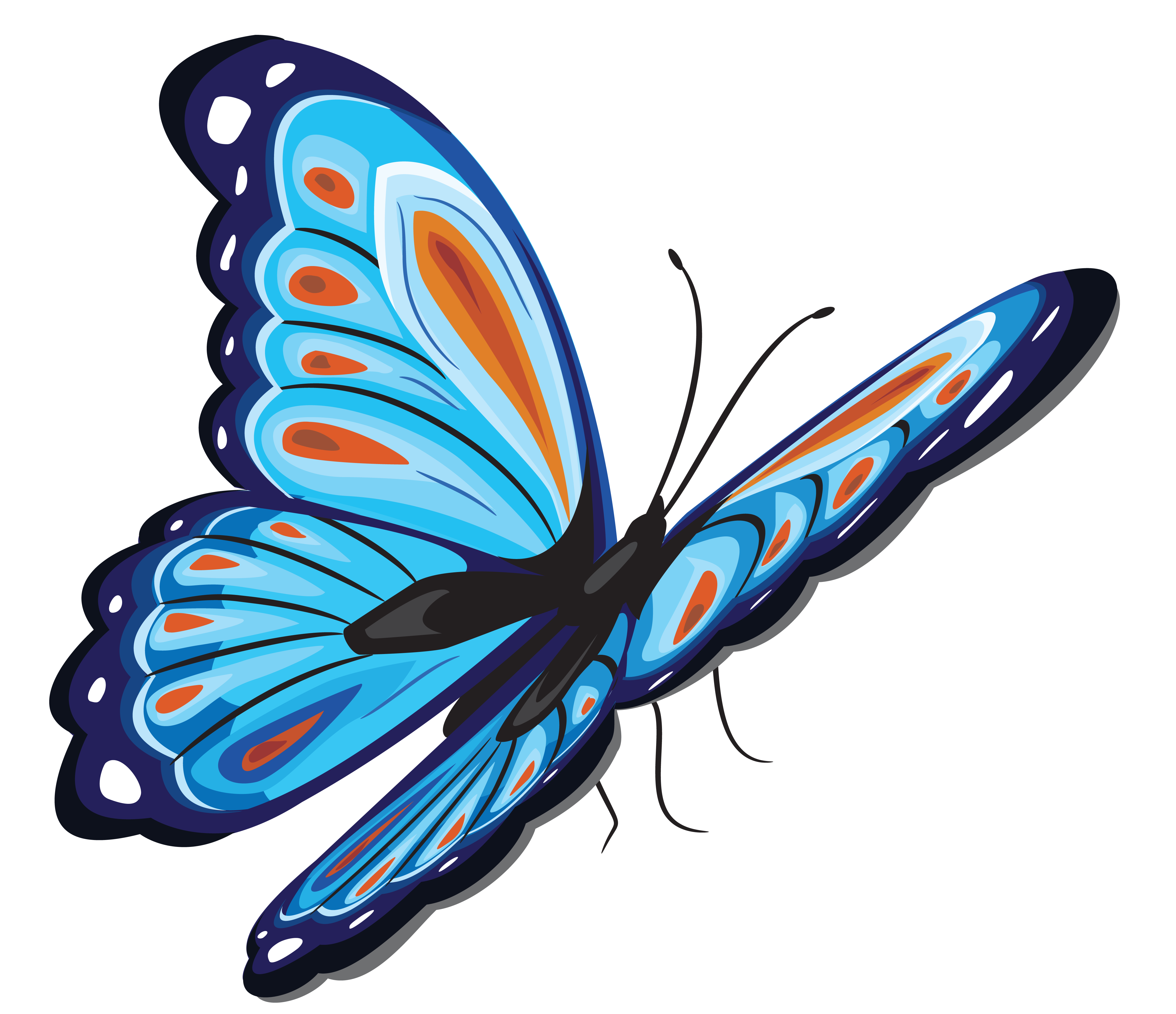 Bleu papillon