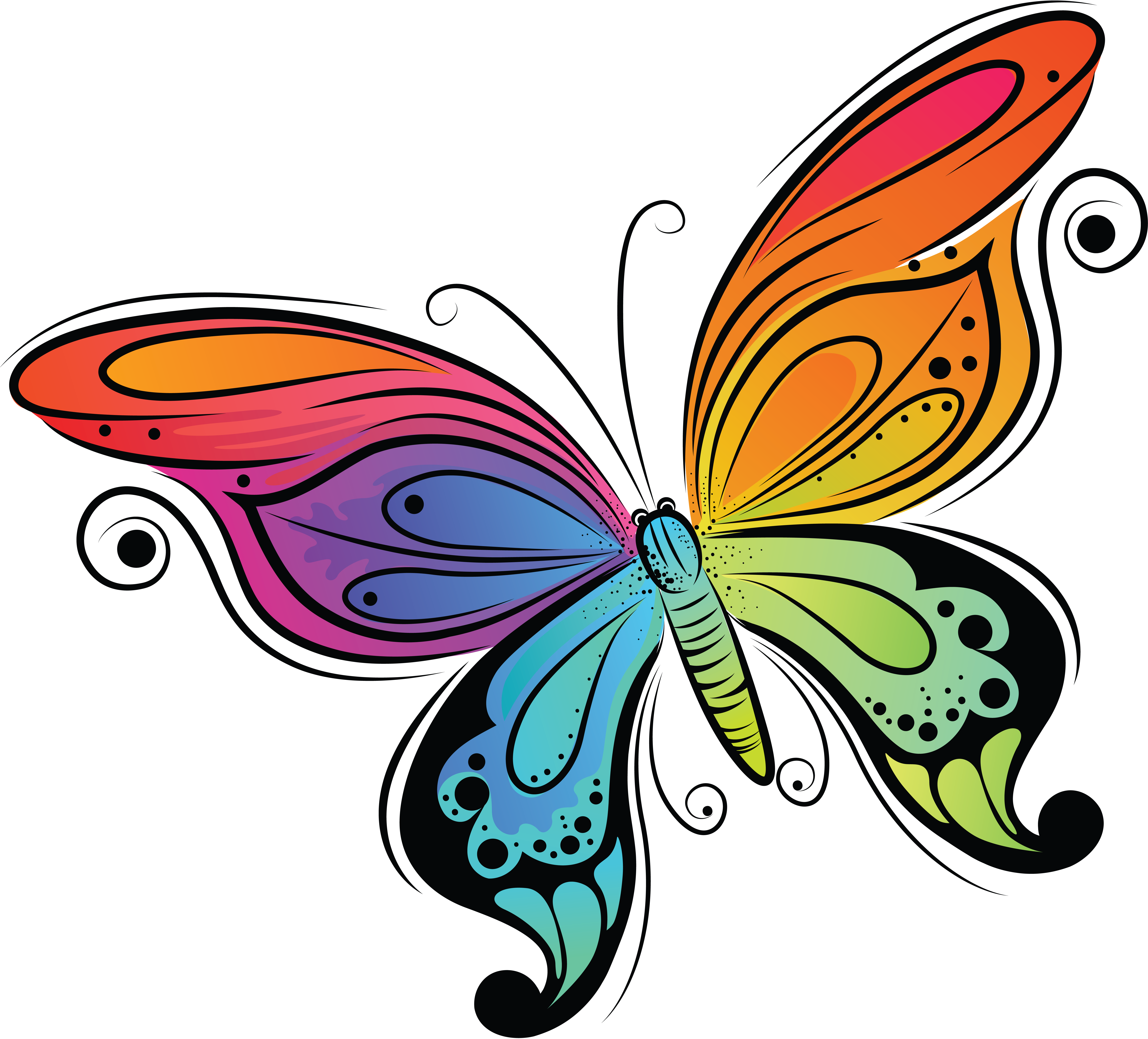 Kolorowy motyl