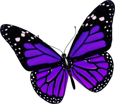 紫の蝶