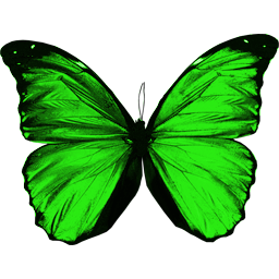 Grüner fliegender Schmetterling