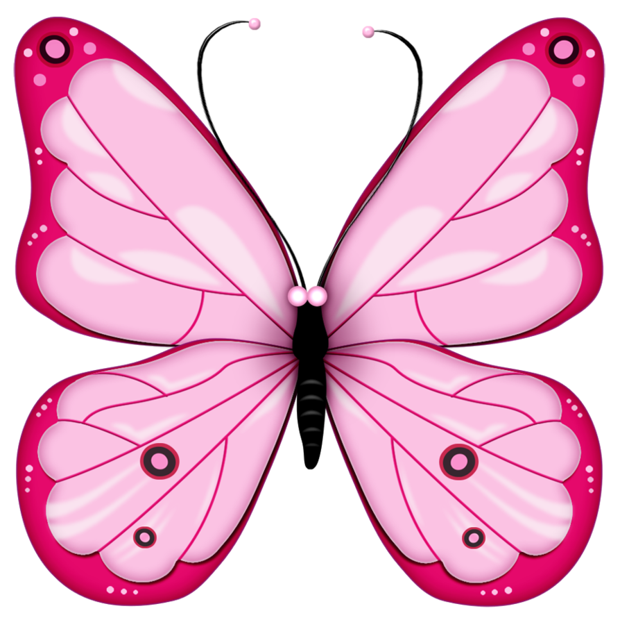ピンクの蝶