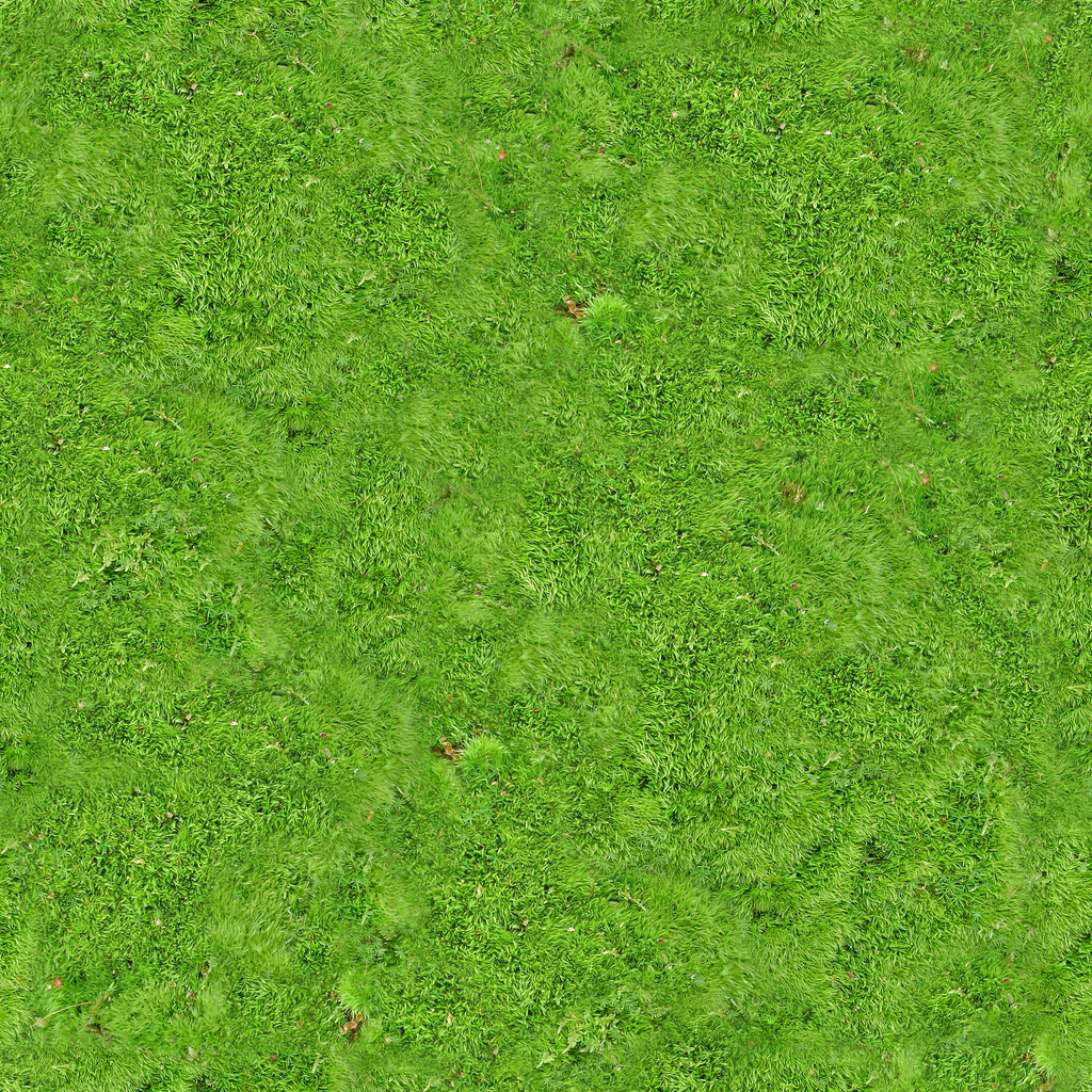 Zielony dywan