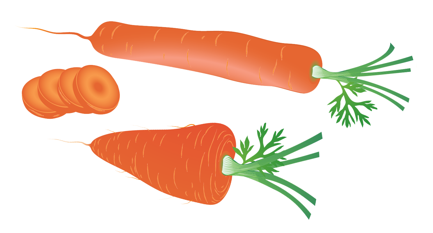 Củ cà rốt