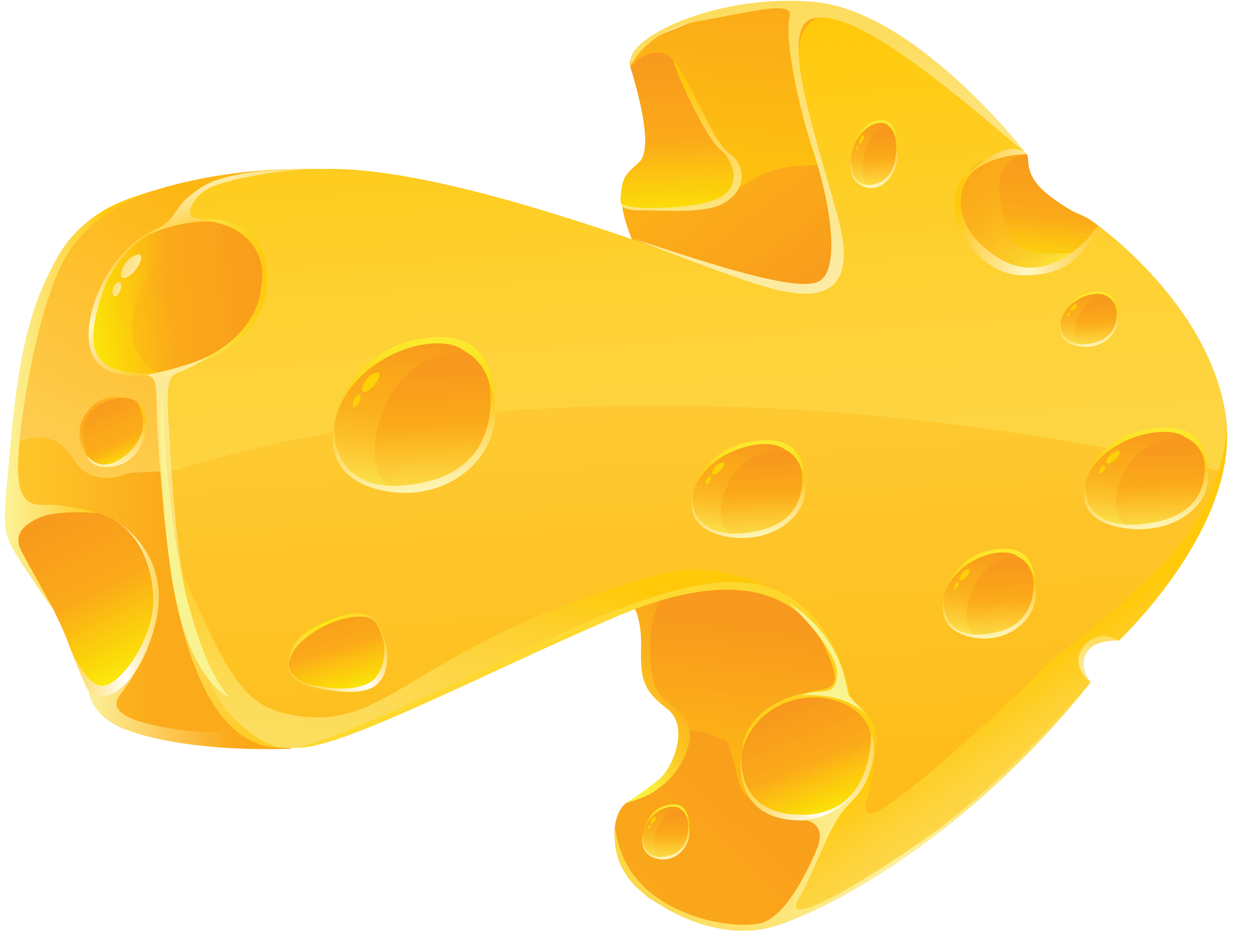 Il formaggio
