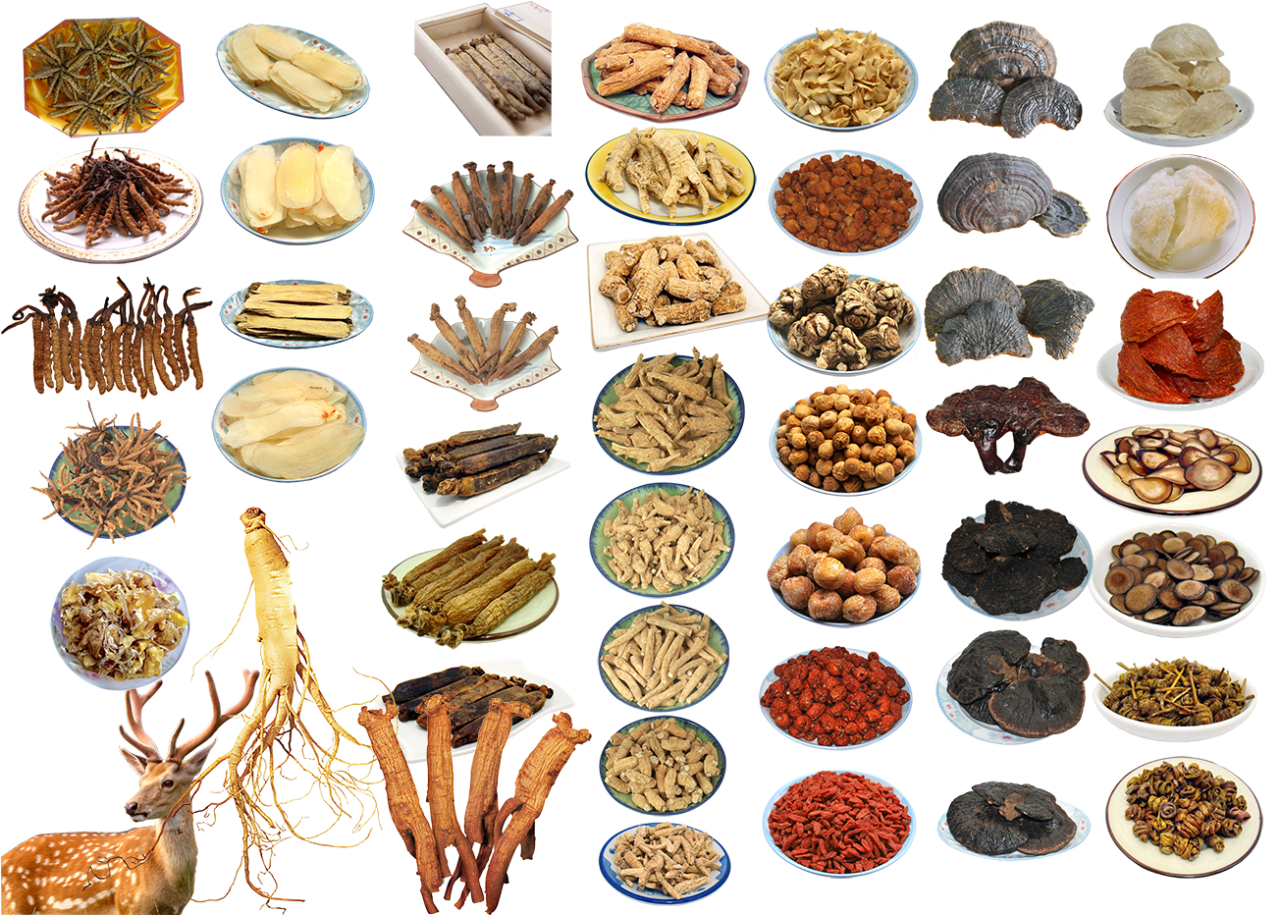 中国のレシピ、薬用材料