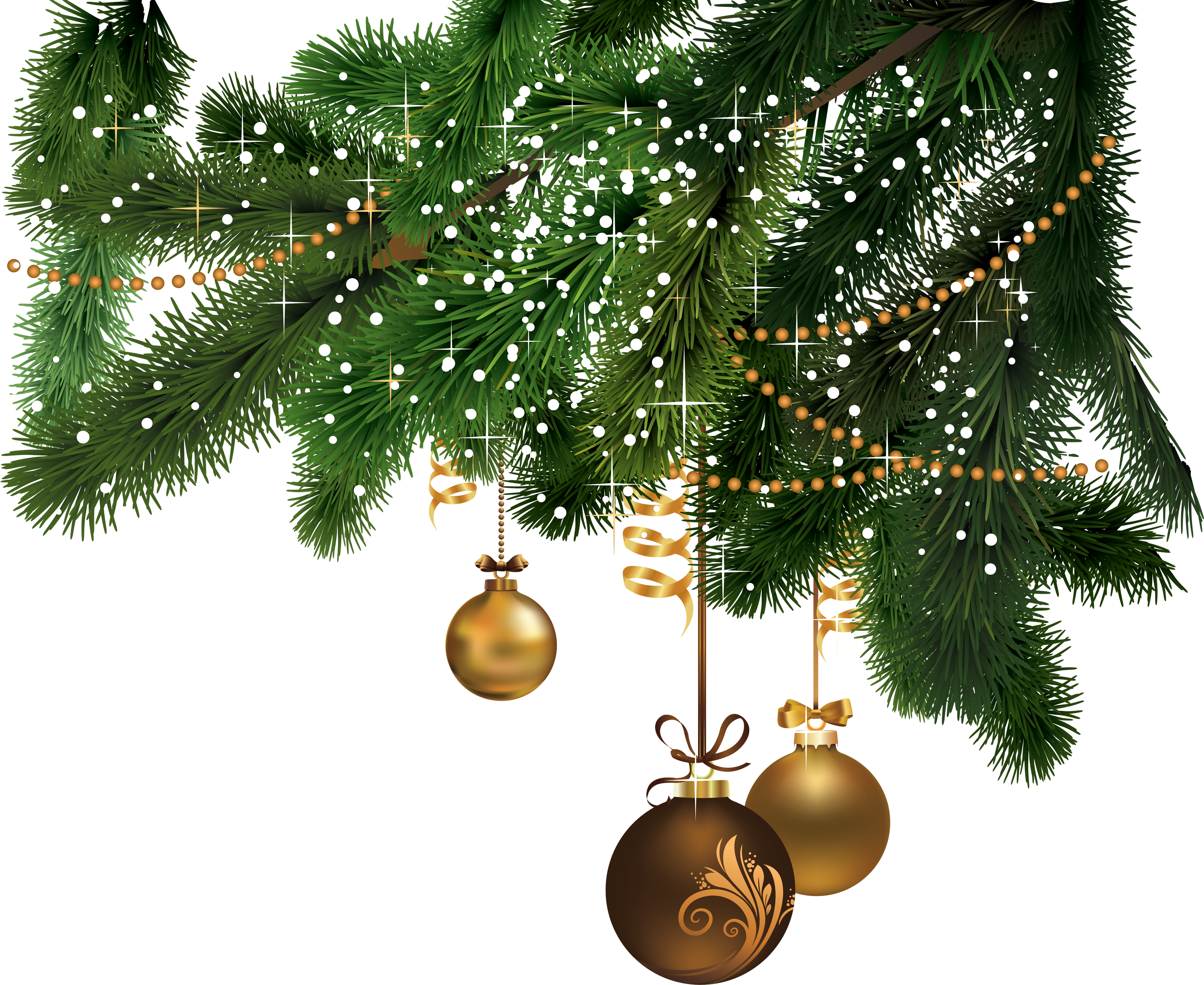 クリスマスのモミの木