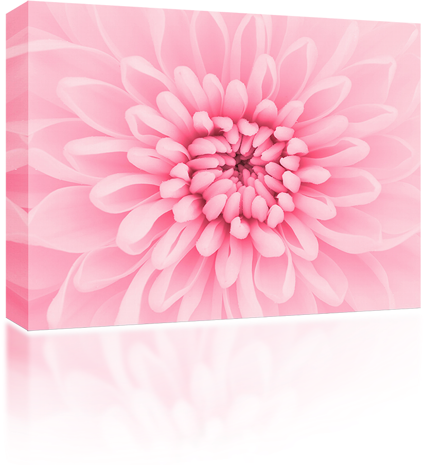 Boîte motif chrysanthème