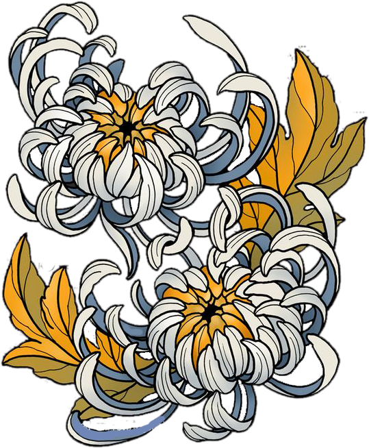 Japanische Chrysantheme-Vektor-Cartoon-Zeichnung